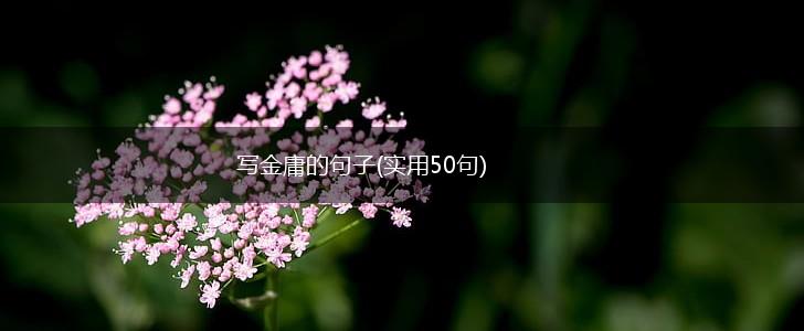 写金庸的句子(实用50句),第1张