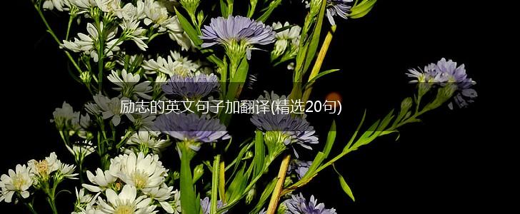 励志的英文句子加翻译(精选20句),第1张