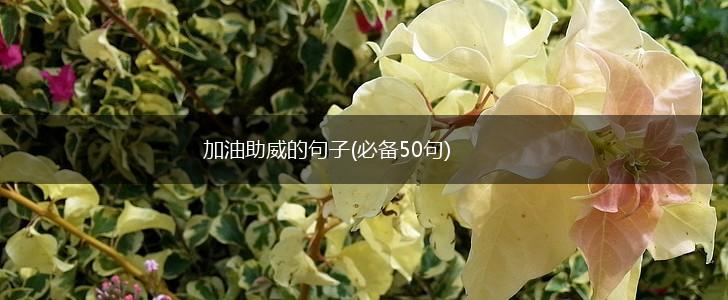 加油助威的句子(必备50句),第1张