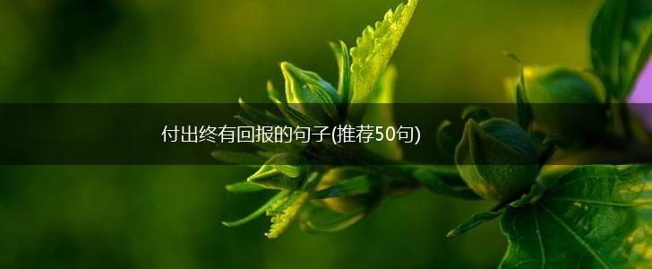 付出终有回报的句子(推荐50句),第1张