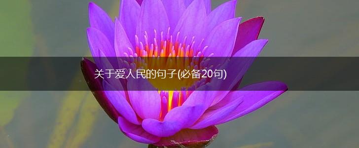 关于爱人民的句子(必备20句),第1张