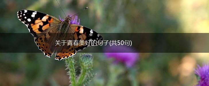 关于青春美好的句子(共50句),第1张