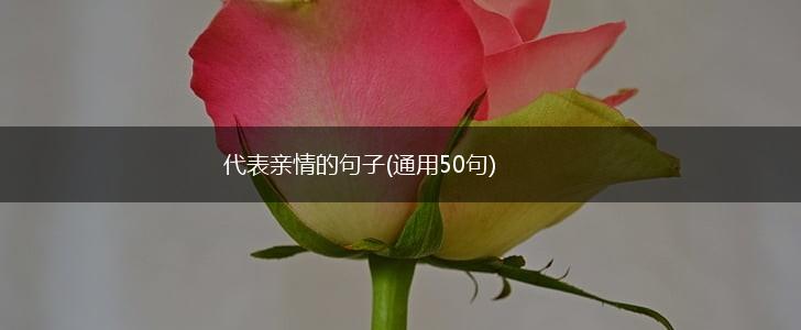 代表亲情的句子(通用50句),第1张