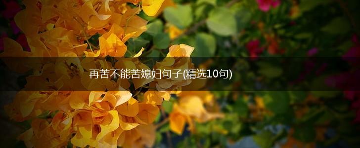 再苦不能苦媳妇句子(精选10句),第1张
