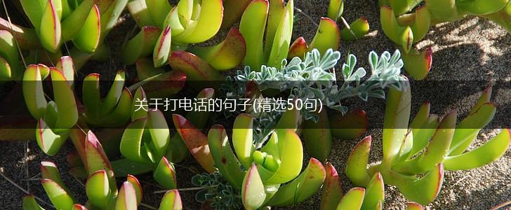 关于打电话的句子(精选50句),第1张