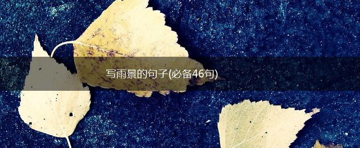 写雨景的句子(必备46句),第1张