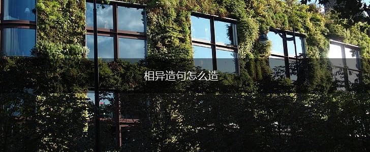 相异造句怎么造,第1张