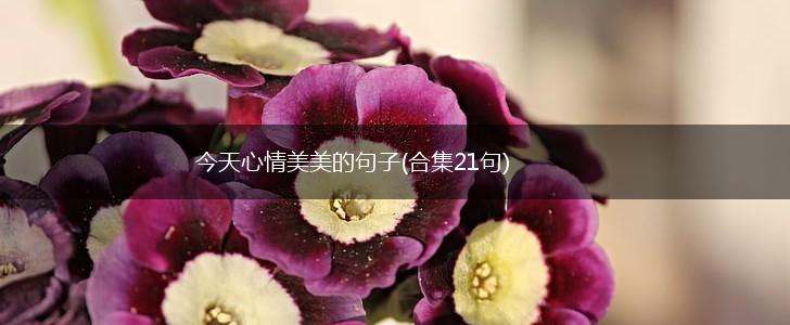 今天心情美美的句子(合集21句),第1张
