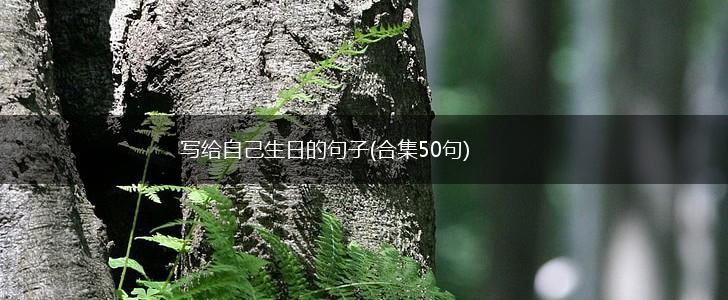写给自己生日的句子(合集50句),第1张