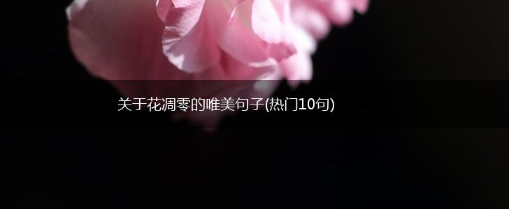 关于花凋零的唯美句子(热门10句),第1张