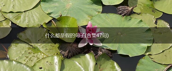什么都是假的句子(合集47句),第1张