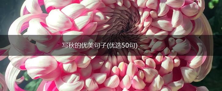 写秋的优美句子(优选50句),第1张