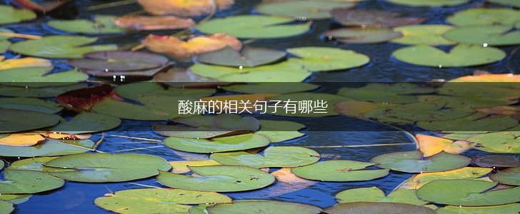 酸麻的相关句子有哪些,第1张
