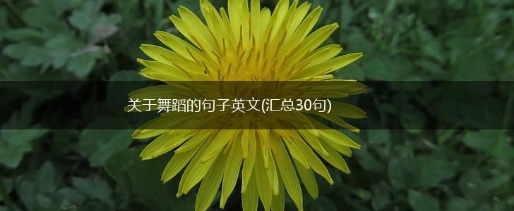 关于舞蹈的句子英文(汇总30句),第1张