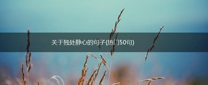 关于独处静心的句子(热门50句),第1张