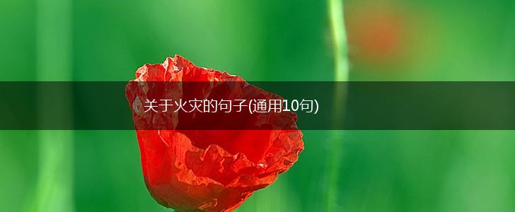 关于火灾的句子(通用10句),第1张