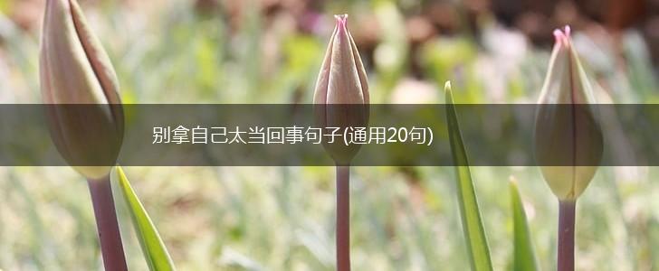 别拿自己太当回事句子(通用20句),第1张