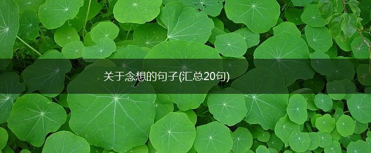 关于念想的句子(汇总20句),第1张