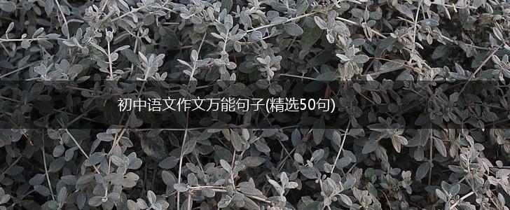 初中语文作文万能句子(精选50句),第1张