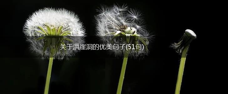 关于洪崖洞的优美句子(51句),第1张