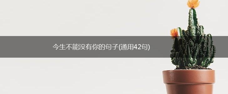 今生不能没有你的句子(通用42句),第1张
