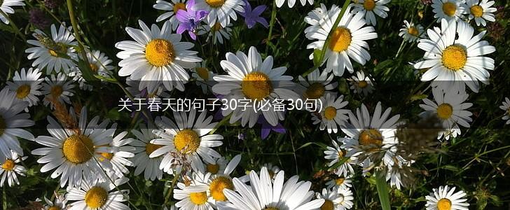 关于春天的句子30字(必备30句),第1张