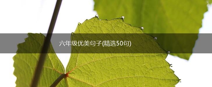 六年级优美句子(精选50句),第1张