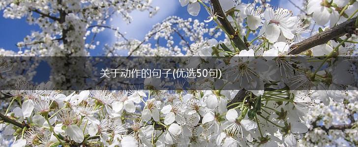 关于动作的句子(优选50句),第1张