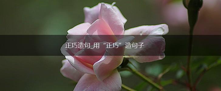 正巧造句_用“正巧”造句子,第1张