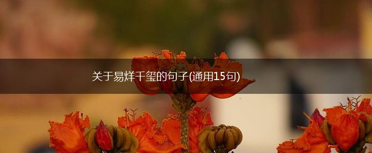 关于易烊千玺的句子(通用15句),第1张