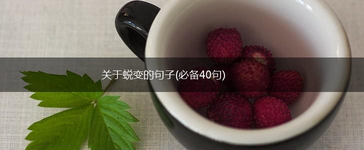 关于蜕变的句子(必备40句),第1张