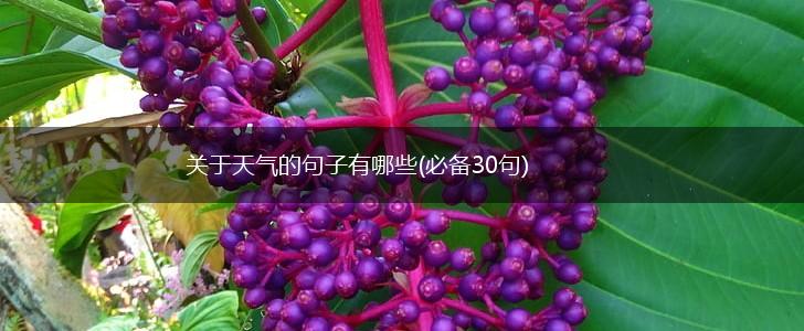 关于天气的句子有哪些(必备30句),第1张