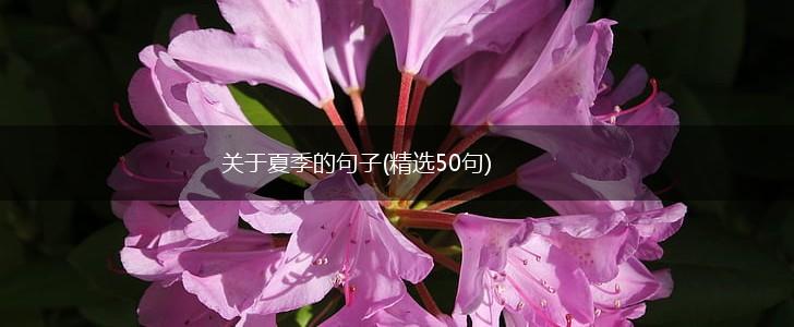 关于夏季的句子(精选50句),第1张