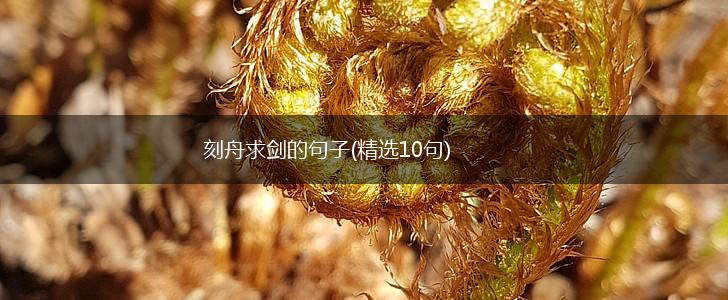 刻舟求剑的句子(精选10句),第1张