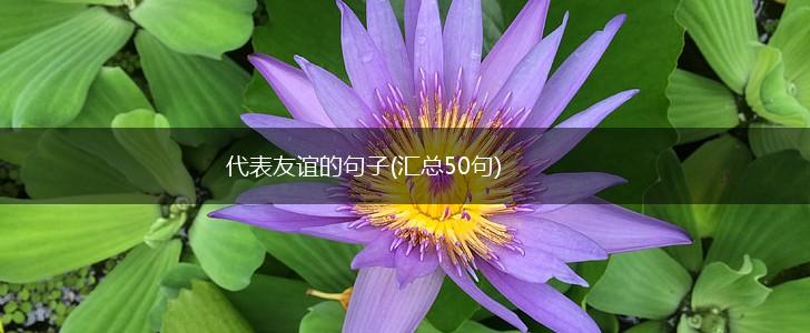 代表友谊的句子(汇总50句),第1张