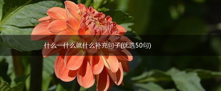 什么一什么就什么补充句子(优选50句),第1张