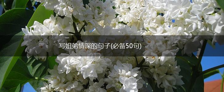 写姐弟情深的句子(必备50句),第1张