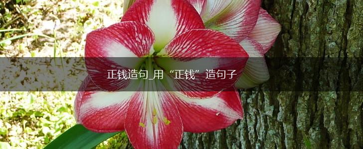 正钱造句_用“正钱”造句子,第1张
