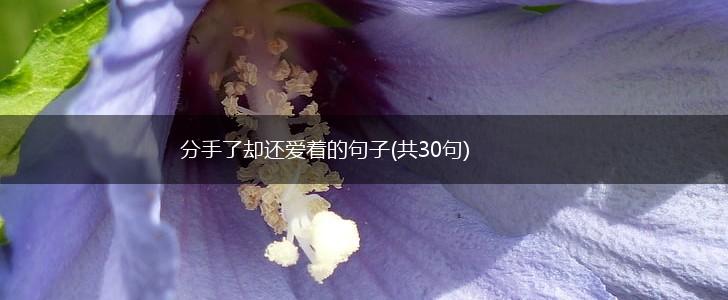 分手了却还爱着的句子(共30句),第1张