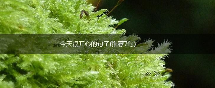 今天很开心的句子(推荐7句),第1张