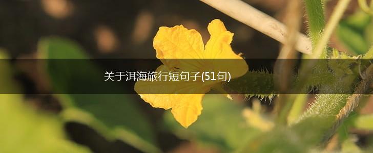 关于洱海旅行短句子(51句),第1张
