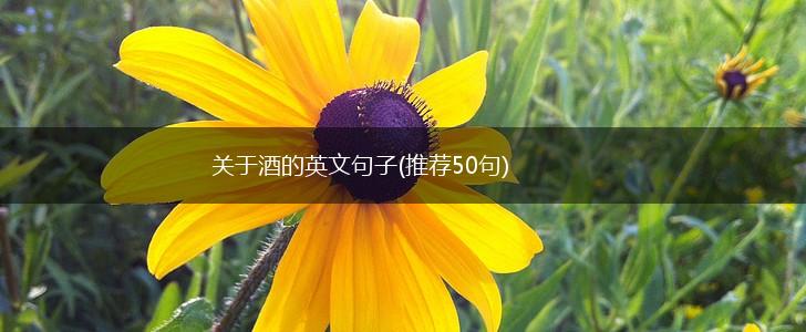 关于酒的英文句子(推荐50句),第1张
