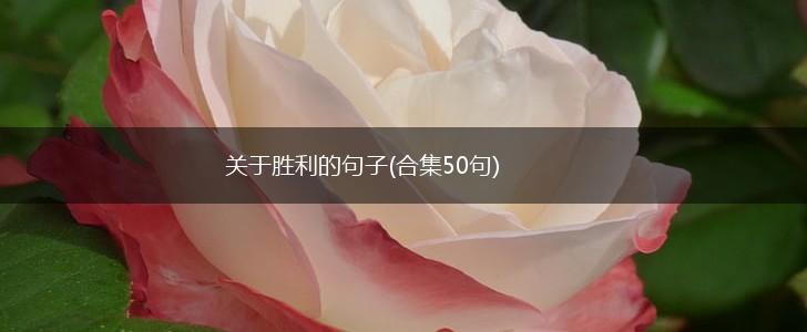 关于胜利的句子(合集50句),第1张