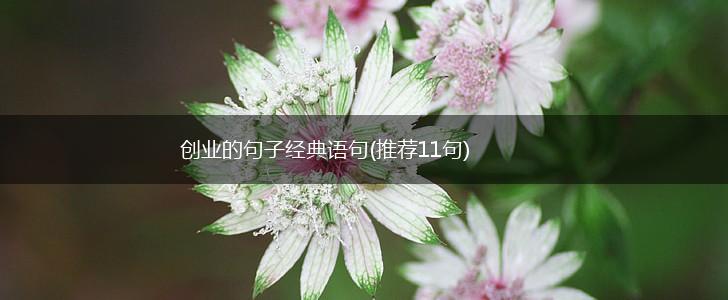 创业的句子经典语句(推荐11句),第1张