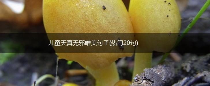 儿童天真无邪唯美句子(热门20句),第1张