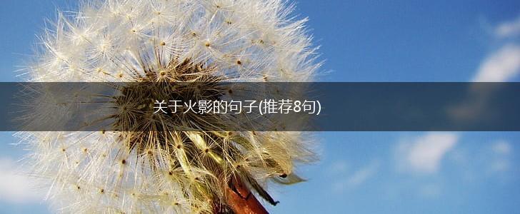 关于火影的句子(推荐8句),第1张