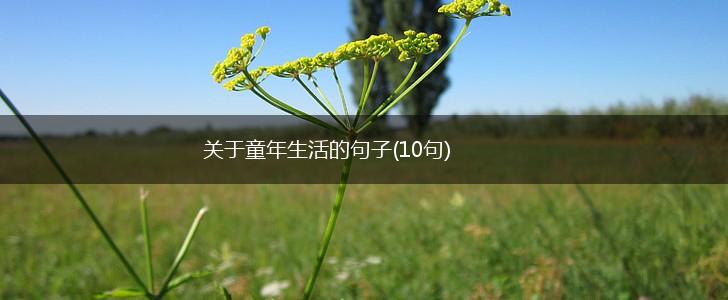 关于童年生活的句子(10句),第1张
