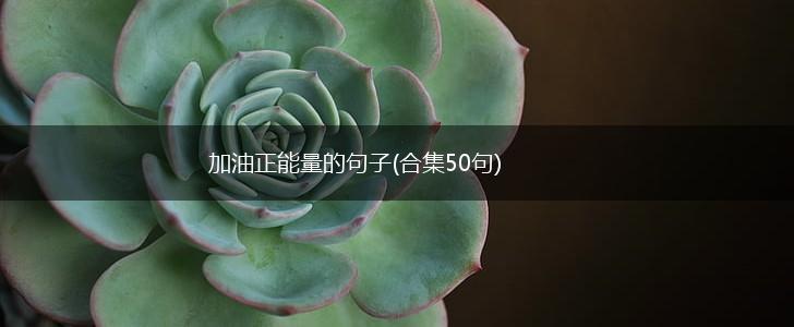 加油正能量的句子(合集50句),第1张