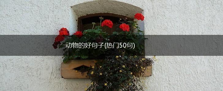 动物的好句子(热门50句),第1张