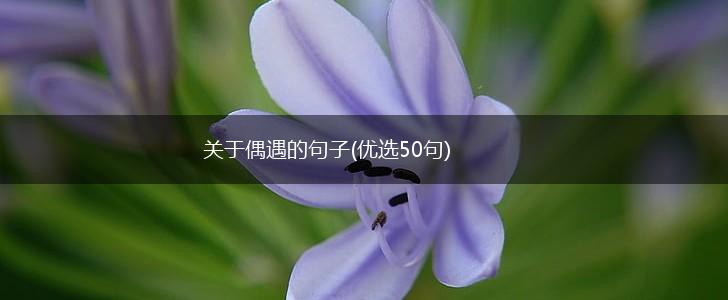 关于偶遇的句子(优选50句),第1张